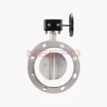 304不锈钢涡轮四氟法兰蝶阀 D341F-16P（images 6）